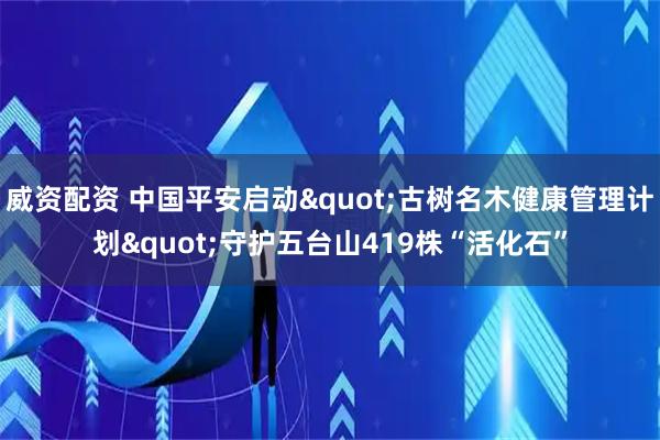 威资配资 中国平安启动"古树名木健康管理计划"守护五台山419株“活化石”