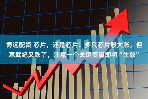 博远配资 芯片，还是芯片！多只芯片股大涨，但寒武纪又跌了，注意一个关键变量即将“生效”
