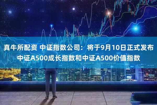 真牛所配资 中证指数公司：将于9月10日正式发布中证A500成长指数和中证A500价值指数